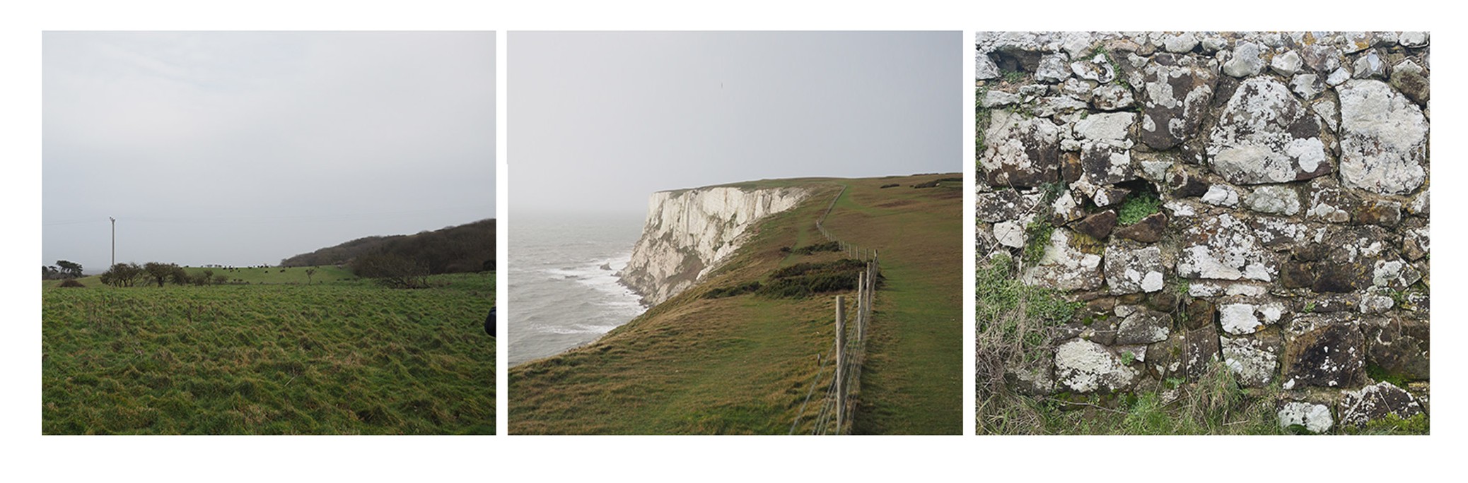 views three images2